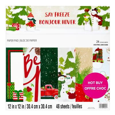 Craft Smith Say Freeze Designpapier - Paper Pad