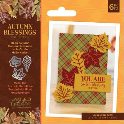 Crafter's Companion Autumn Blessings Metal Die - Hello Autumn