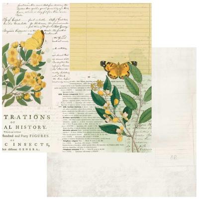 49 and Market Curators Botanical Designpapier - Natural History