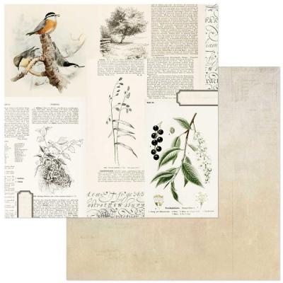 49 And Market Curators Meadow Designpapier - Juniper