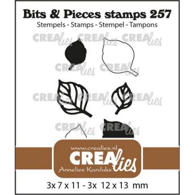 Crealies Bits & Pieces Clear Stamps - Blätter