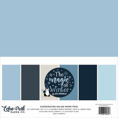 Echo Park The Magic Of Winter Carstock - Solids Kit