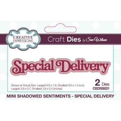 Creative Expressions Sue Wilson Mini Shadowed Sentiments Craft Dies - Special Delivery