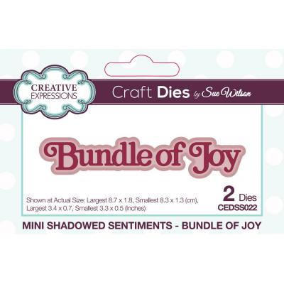 Creative Expressions Sue Wilson  Mini Shadowed Sentiments Craft Dies - Bundle Of Joy