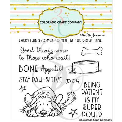 Colorado Craft Anita Jeram Clear Stamps - Stay Pawsitive