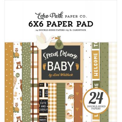 Echo Park Special Delivery: Baby - Paper Pad