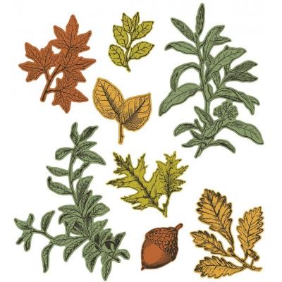 Sizzix 49 and Market Framelits Dies - Forever Leaves