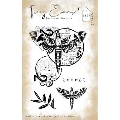 Tracy Evans Stempel - Insect