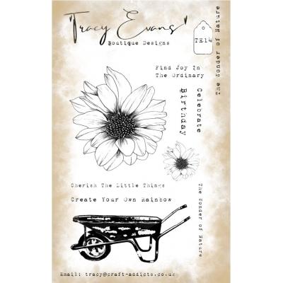 Tracy Evans Stempel - The Wonder Of Nature