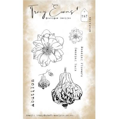 Tracy Evans Stempel - Abutilon