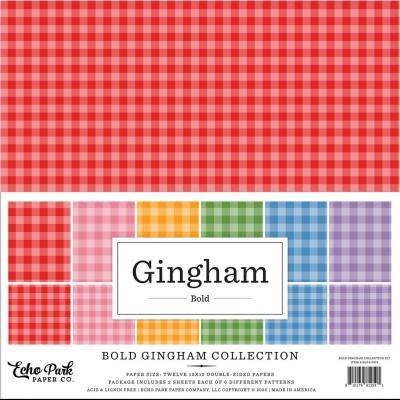 Echo Park Bold Gingham - Collection