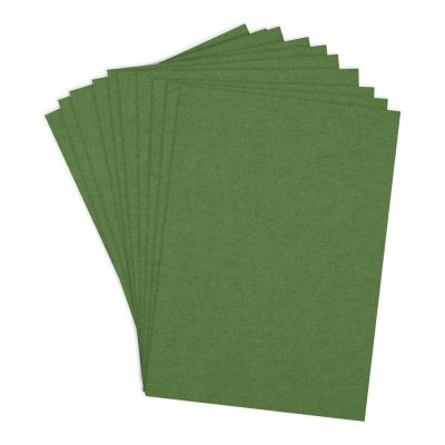 Spellbinders ColorWheel A4 Cardstock - Fern