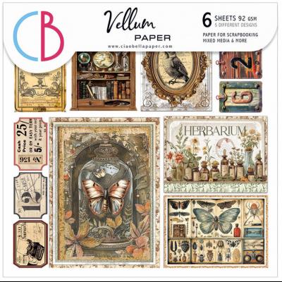 Ciao Bella Cabinet of Curiosities - Vellum Fussy Cut Pad