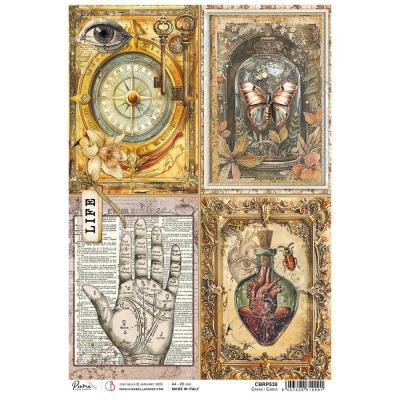Ciao Bella Cabinet of Curiosities - Cabinet Cards