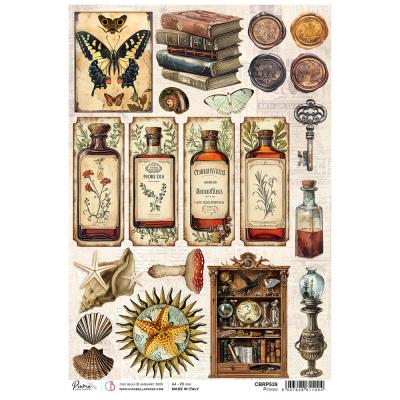 Ciao Bella Cabinet of Curiosities - Potions