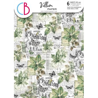 Ciao Bella Cabinet of Curiosities - Vellum Paper Patterns