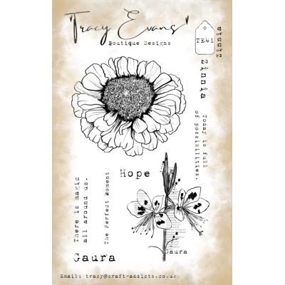 Tracy Evans Stempel - Zinnia