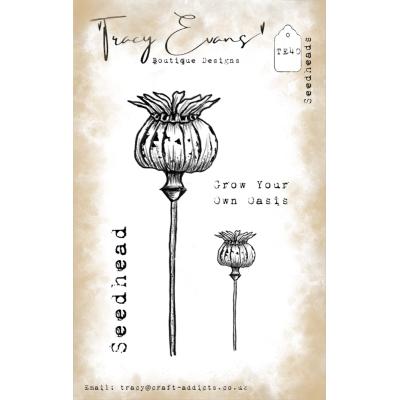 Tracy Evans Stempel - Seedheads