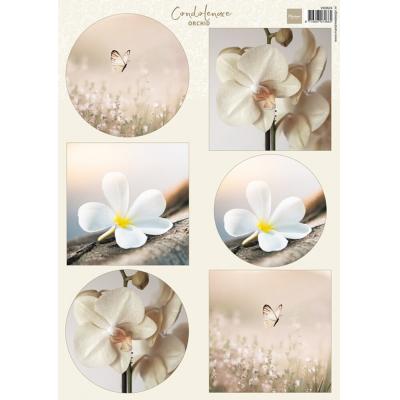 Marianne Design Decoupage Sheet A4 - Orchid