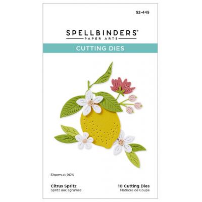 Spellbinders Paper Arts Etched Dies - Citrus Spritz