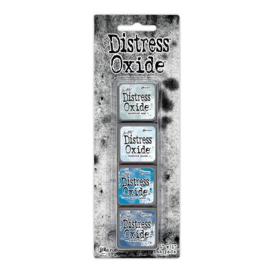 Ranger Tim Holtz Distress Mini Oxide Ink Pads #10