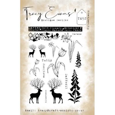 Tracy Evans Stempel - Wilderness