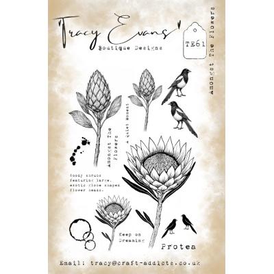 Tracy Evans Stempel - Amongst The Flowers