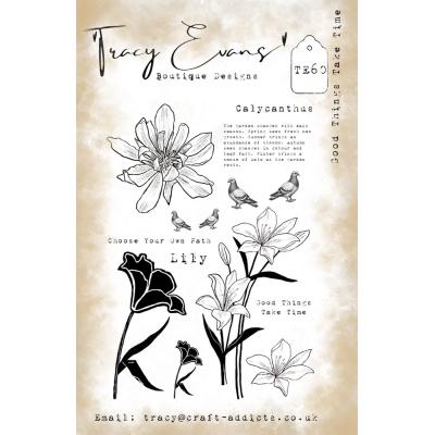 Tracy Evans Stempel - Good Things Take Time