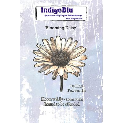 IndigoBlu Stempel - Blooming Daisy